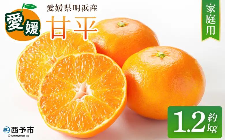 【先行予約】＜甘平 家庭用 約1.2kg＞ ご家庭用 かんぺい 高級 柑橘 ブランド みかん 蜜柑 訳あり 果物 くだもの フルーツ ミカン 愛媛 国産 ジューシー 明浜 特産品 笑丸 愛媛県 西予市【常温】『2027年2月上旬より順次出荷予定』AAN0075