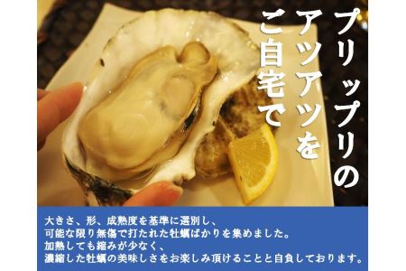 殻付活牡蠣カンカン焼セット 4kg (加熱用)（予約受付中：旬にお届け！2024年1月頃から期間限定出荷！）【B-7】