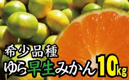 【2024年秋頃発送予約分】【農家直送】甘くて濃厚！希少品種 ゆら早生みかん　約10kg  有機質肥料100%　 サイズ混合　※2024年10月上旬より順次発送予定（お届け日指定不可）【nuk110】