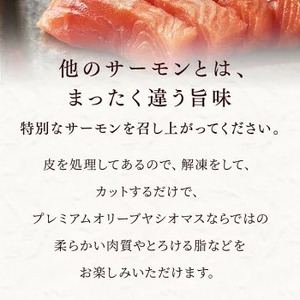 【【国産】高級サーモン】【皮なしフィレ 約500g】産地直送 天然仕立て おつまみ 高級 ※沖縄・離島への配送不可