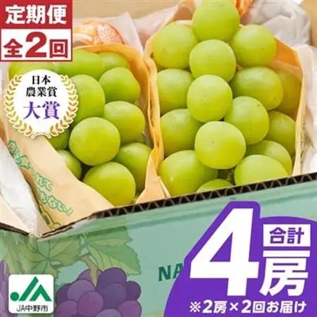 【発送月固定定期便】〈2026年発送〉シャインマスカット2房1kg以上　JA中野市から直送全2回【配送不可地域：離島】【4059319】
