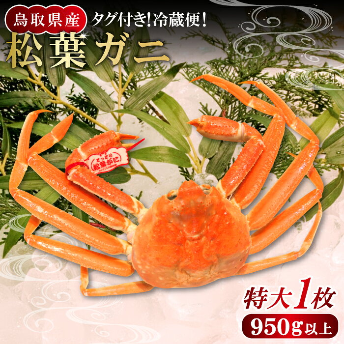 【ふるさと納税】鳥取県産 タグ付き松葉ガニ 特大 松葉ガニ 松葉がに 松葉蟹 まつばがに かに カニ 特大 冷蔵 チルド ブランド ズワイガニ 蒸し ボイル タグ付き 国産 季節限定 お取り寄せ お祝い お歳暮 贈り物 贈答 鳥取県 日吉津村 日本海 KI92