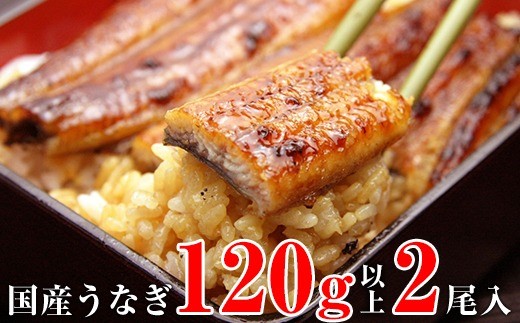 国産うなぎ蒲焼2本セット（120～149g）(A268-1)