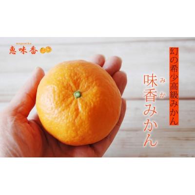 ふるさと納税 鳥栖市 佐賀みかん 『味香ワイン』辛口 赤仕立て・白仕立て 720ml 各1本(鳥栖市) |  | 01