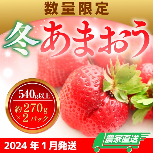 数量限定 冬あまおう２パック 540ｇ以上（270g以上×2）農家直送・アフター保証 イチゴ 苺 いちご 福岡 博多あまおう フルーツ 2024年12月以降順次発送 VZ003