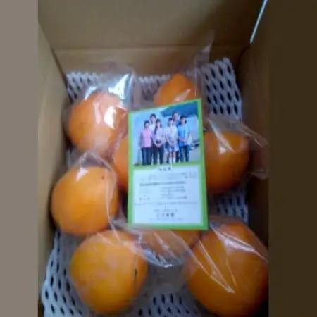 山田農園の愛宕柿　2.5kg【1655578】