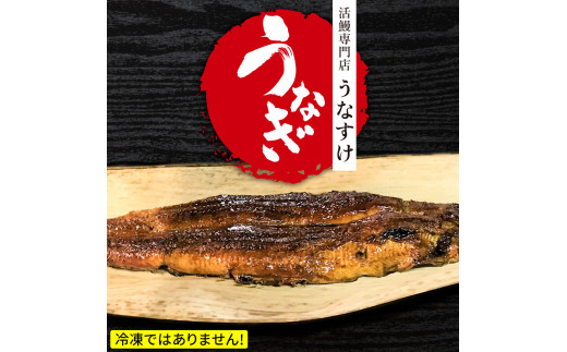 国産うなぎ蒲焼き (1匹)＋肝焼き｜名店 鰻 ウナギ うな丼 鰻丼 肝 希少部位 冷蔵 クール便 ひつまぶし 丑の日 簡単調理 [0848]