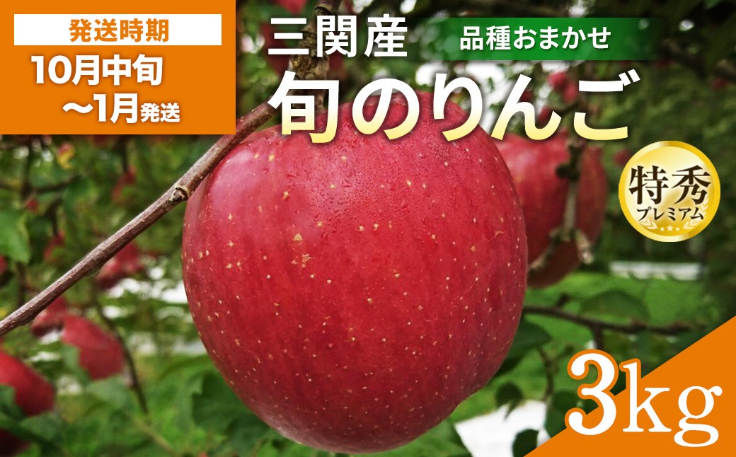 
                  三関産 旬のりんご プレミアム 特秀 3kg （8玉～12玉） 旬 りんご 品種お任せ 果物 フルーツ 秋田県 三関 【三関果樹研究会】[B2-15102]
                