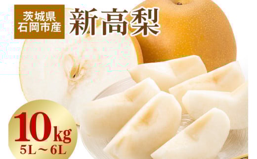 【 2025年 先行予約 】 新高梨　5L～6L（二段10kg）梨 約 16玉 ～ 20玉 品種 新高 にいたか なし ナシ 果物 フルーツ 大玉 6L 5L サイズ 10キロ 9月 10月 発送 秋 旬 産地直送 農家直送 産直 国産 くだもの 甘い 糖度 茨城県産 茨城県 石岡市 (A15-002)