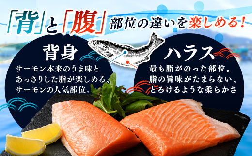 【極上の脂のり】アトランティックサーモン 背身&ハラス食べ比べセット 約500g ＜道産ネットミツハシ＞ 鮭 サーモン 北海道 森町 ふるさと納税 mr1-1375
