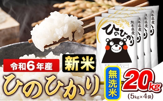 
										
										令和6年産 新米 早期先行予約受付中 ひのひかり 無洗米 20kg (5kg×4袋)《11月-12月頃出荷》熊本県産 ひの 米 こめ ヒノヒカリ コメ お米 おこめ---gkt_hn6_af11_24_36000_20kg_m---
									