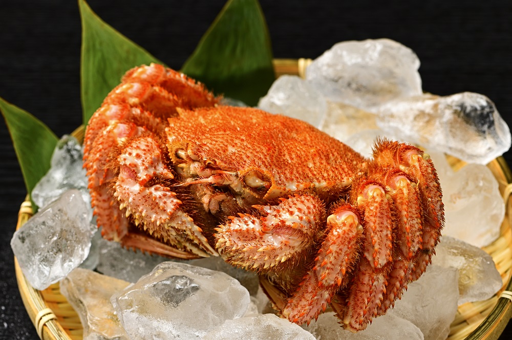 活ゆで毛蟹（2尾×約375ｇ）計750~800g【冷凍】カニ 毛ガニ 蟹 北海道かに 北海道カニ 国産カニ かに 毛蟹 冷凍かに