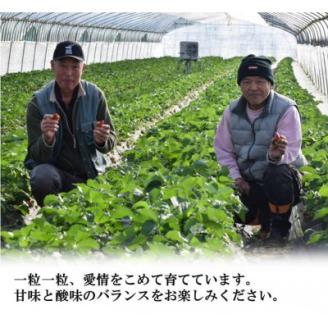 赤のコラボ「古都華」と「ゆめのか」(それぞれ9粒~11粒)【配送不可地域:離島】