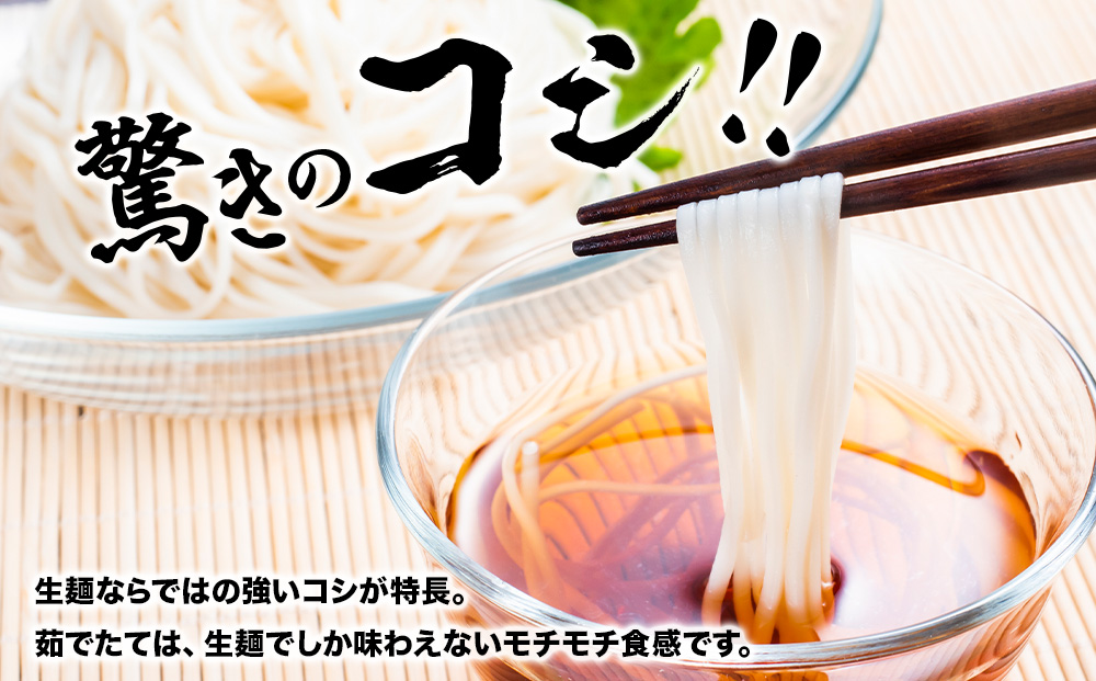 のどごし感動体験 生ひやむぎ 200g×10袋