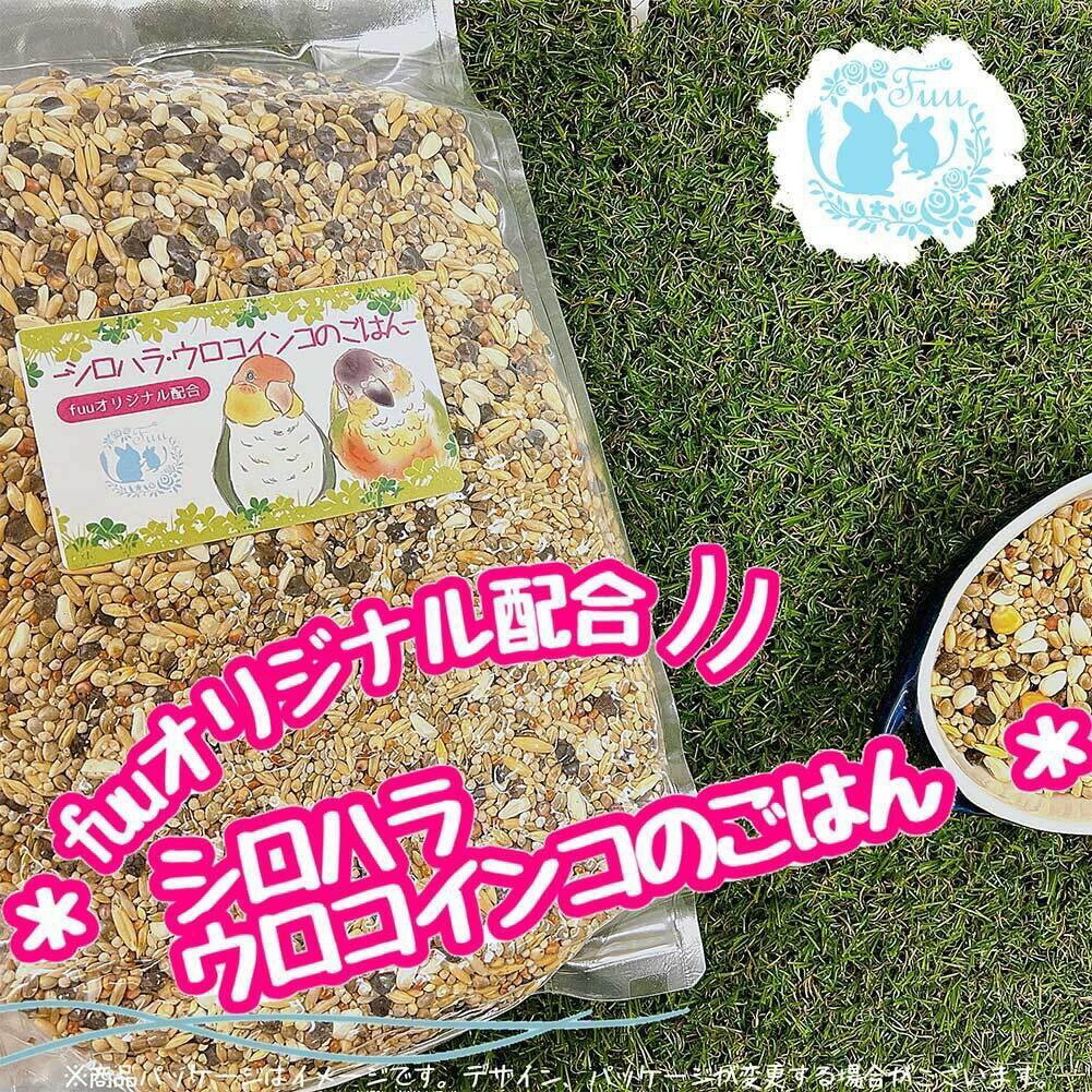 【ふるさと納税】【3ヶ月定期便】fuu シロハラインコ・ウロコインコのごはん インコ 小鳥 エサ ペット用品 複数種 シード オリジナル配合 10kg 栄養バランス 麻の実 ソバの実 ムキオード麦 大麦 小麦 赤マイロ 白マイロ 食感様々 お取り寄せ 愛知県 小牧市 送料無料