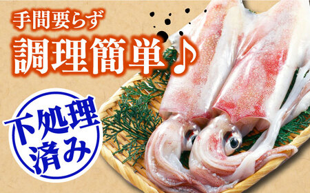 【対馬産】 剣先 イカ 生 冷凍（ 訳アリ ）3枚  [WAB012] いか 剣先いか あかいか イカ焼き シロイカ ケンサキイカ