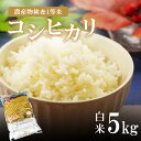 【ふるさと納税】 コシヒカリ | お米 こめ ご飯 ごはん おにぎり おむすび 米 真岡産コシヒカリ 白米 5kg 送料無料 コシヒカリ 真岡産 こしひかり