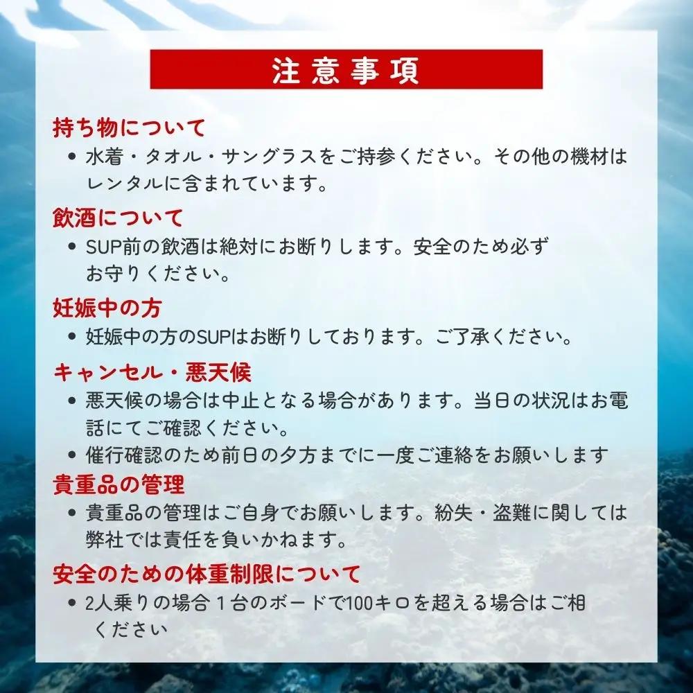 【SUP】絶景の海を海上散歩！サンマリン SUP体験（2名様）【smr002】