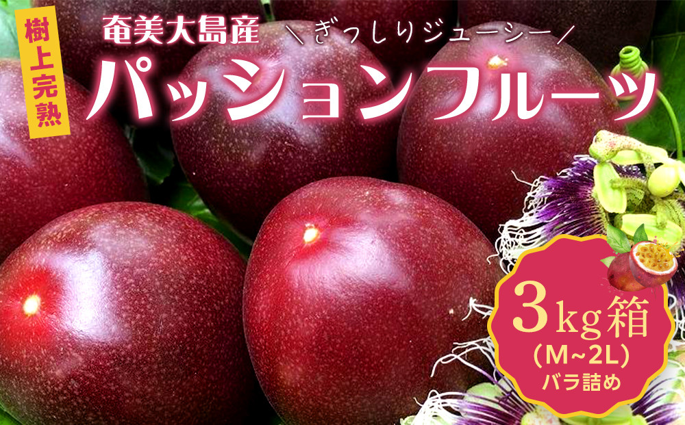 【先行受付】奄美大島 パッションフルーツ 3kg箱　（バラ詰）