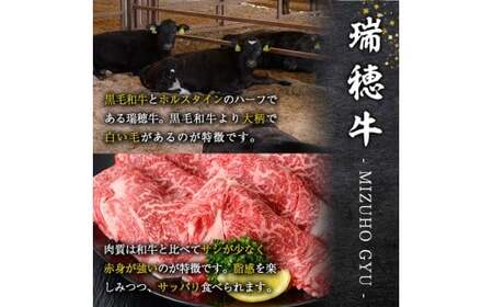 牛肉 切り落とし 約1kg 【牛肉】 【ho1448】