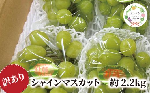 
                  【訳あり】シャインマスカット ご家庭用/約2.2kg (岡山県産)【KF-B015-03】
                