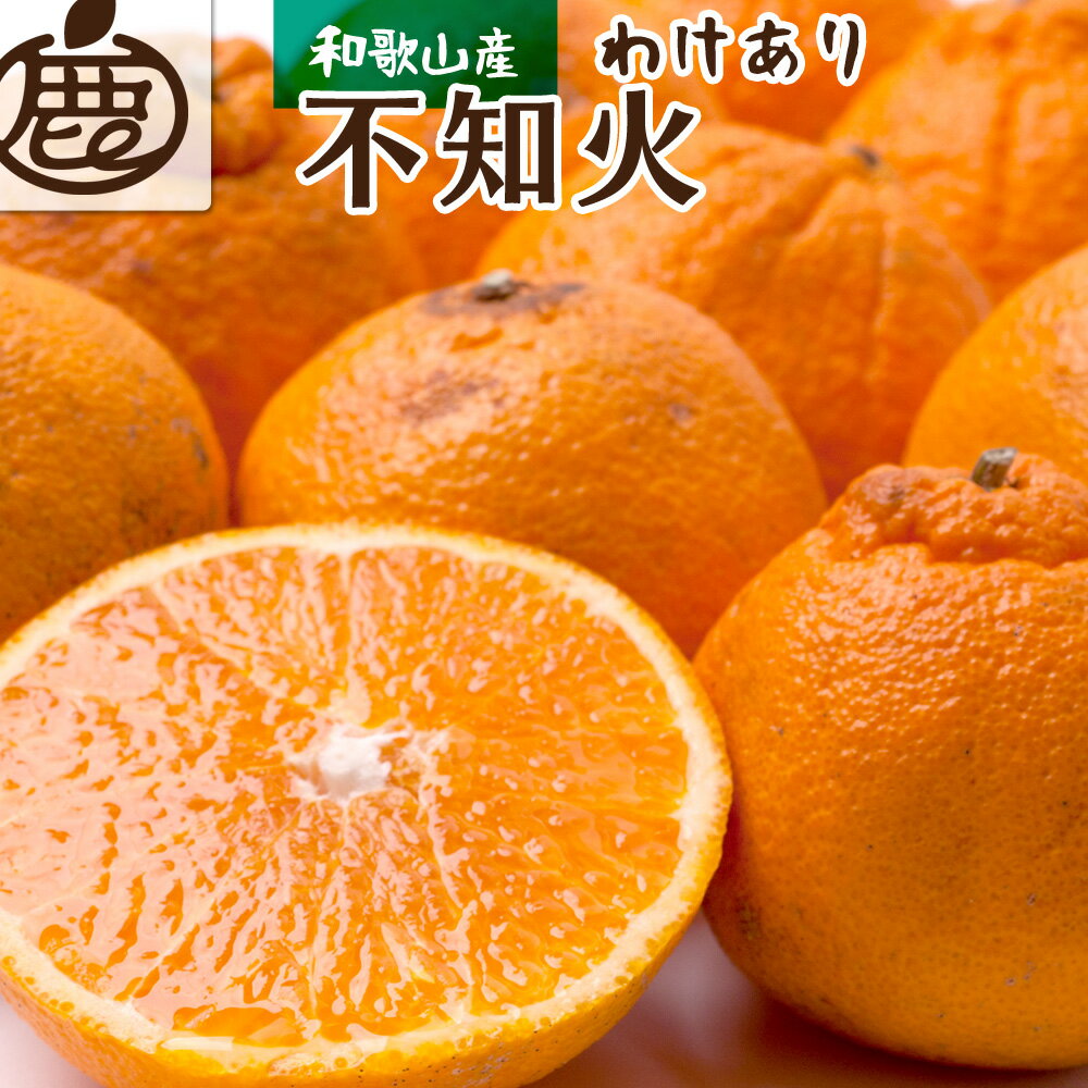 【ふるさと納税】 不知火 （ しらぬい ） 家庭用 光センサー / デコポン 訳あり 甘い 和歌山 柑橘 5000円 8000円 5kg 10kg ※2月～3月下旬に順次発送 ※北海道・沖縄・離島への配送不可 //dekopon