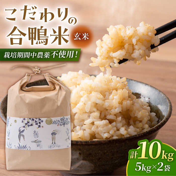 【ふるさと納税】〈令和7年度産米〉合鴨農法玄米 5kg×2 計10kg 【あいがもん倶楽部】[ZAR029] 玄米 お米 米 熊本 農薬不使用 国産