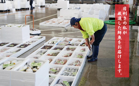 日本海直送 【高級鮮魚5種】鮮魚ボックス 旬の魚詰め合せ 魚のプロが選んだ厳選魚 新潟 糸魚川 能生漁港から朝獲れ新鮮な魚をお届け 生 (国産 天然 海鮮 お刺身 魚介類セット 鮮魚BOX 便利 簡単