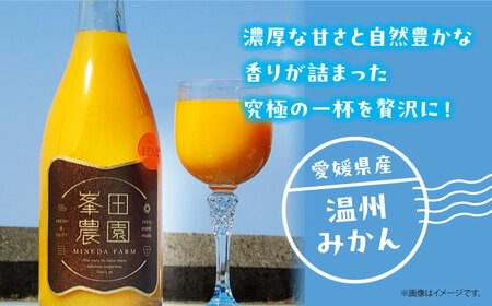愛媛県産 大人気の手作り「温州みかん」100%ストレートジュース（720ml×2本）　愛媛県大洲市/峯田農園[AGBT023]