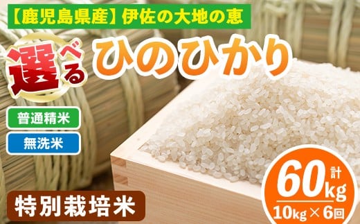 
                  isa517 【定期便6回】 選べる精米方法！令和7年産 鹿児島県伊佐産 特別栽培ひのひかり(計60kg・10kg×6ヵ月) 国産 白米 精米 無洗米 伊佐米 お米 米 生産者 ひのひかり 定期便 【Farm-K】
                