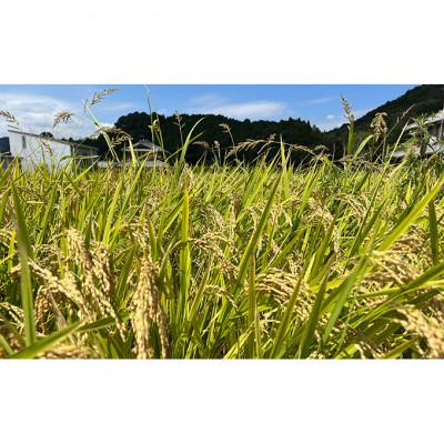 ふるさと納税 姫路市 【令和7年産】　きぬひかり30キロ姫路市産[53650730] |  | 02