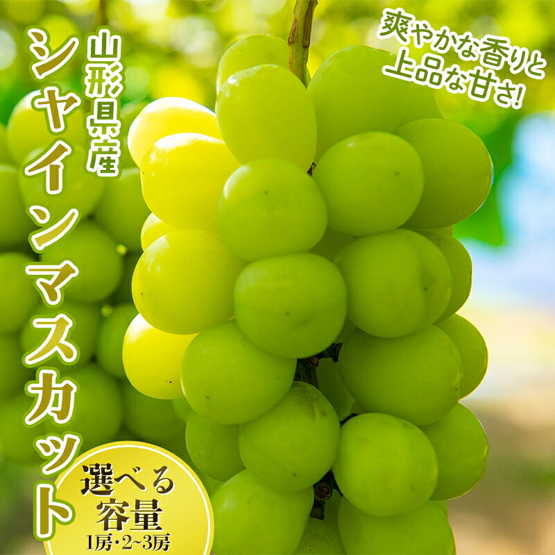 【ふるさと納税】山形県産 大粒ぶどう シャインマスカット 1房(700g) 1.2kg(2~3房) 選べる容量 種無し 葡萄 ぶどう ブドウ マスカット 果物 くだもの フルーツ 贈答 贈り物 ギフト プレゼント 自宅 家庭 山形県 西川町 月山 FYN6-636var