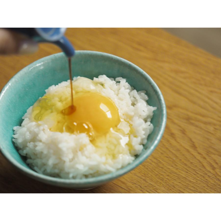 ＜カヤニファーム＞宗谷のしおかぜたまご10個入×3ケース