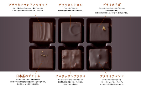 【le fleuve】チョコレート6種 プラリネ6