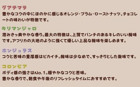 コーヒー 定期便 12回 計約3.4㎏ 粉  自家焙煎 定期便12ヶ月 千葉県 銚子市 ティピカ