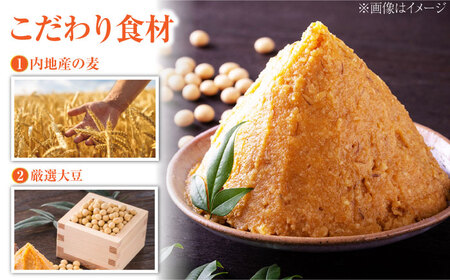 味噌 田舎みそ 麦こうじ4kg 味噌[XBW001]