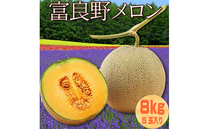 【2025年8月～発送】北海道 富良野 メロン 約1.6kg×5玉入り (スイートベジタブルファクトリー) メロン フルーツ 果物 新鮮 甘い 贈り物 ギフト 道産 ジューシー おやつ ふらの ブランド 夏