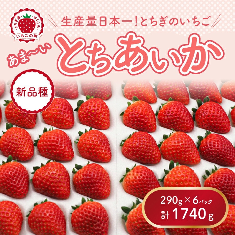 【先行予約】【数量限定】とちあいか 290g×6パック｜いちご イチゴ 苺 先行予約 栃木県 果物 くだもの フルーツ とちあいか 新鮮 贈答 ギフト ※2026年11月～発送
