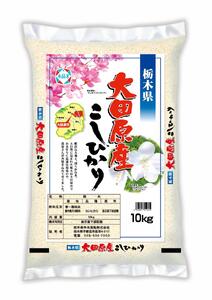 【令和６年産】　大田原産コシヒカリ　１０ｋｇ