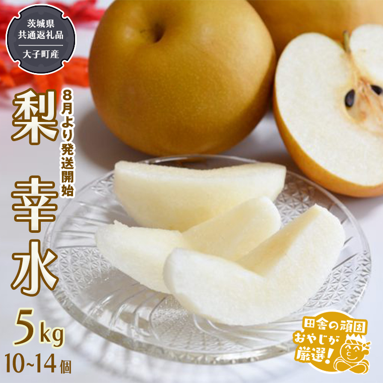 梨 幸水 5kg 10～14個【2026年8月より発送開始】（茨城県共通返礼品 [梨]：大子町産）田舎の頑固おやじが厳選！ 梨 幸水 高糖度 ギフト 甘い スイーツ デザート フルーツ 美味しい [BI297-NT]