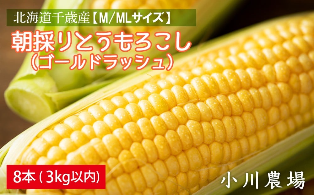 
                  2026年発送予約☆北海道千歳産【M/MLサイズ】朝採りとうもろこし（ゴールドラッシュ）8本 3kg以内【小川農場】
                