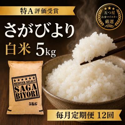 ふるさと納税 吉野ヶ里町 【毎月定期便】『さがびより白米5kg』五つ星お米マイスター厳選!(吉野ヶ里町)全12回