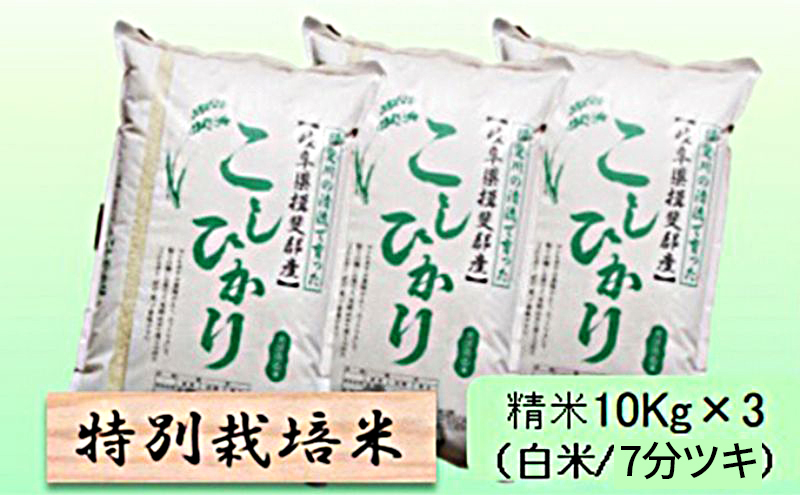 【令和7年産】特別栽培米 30kg【白米、7分ツキ】（コシヒカリ）