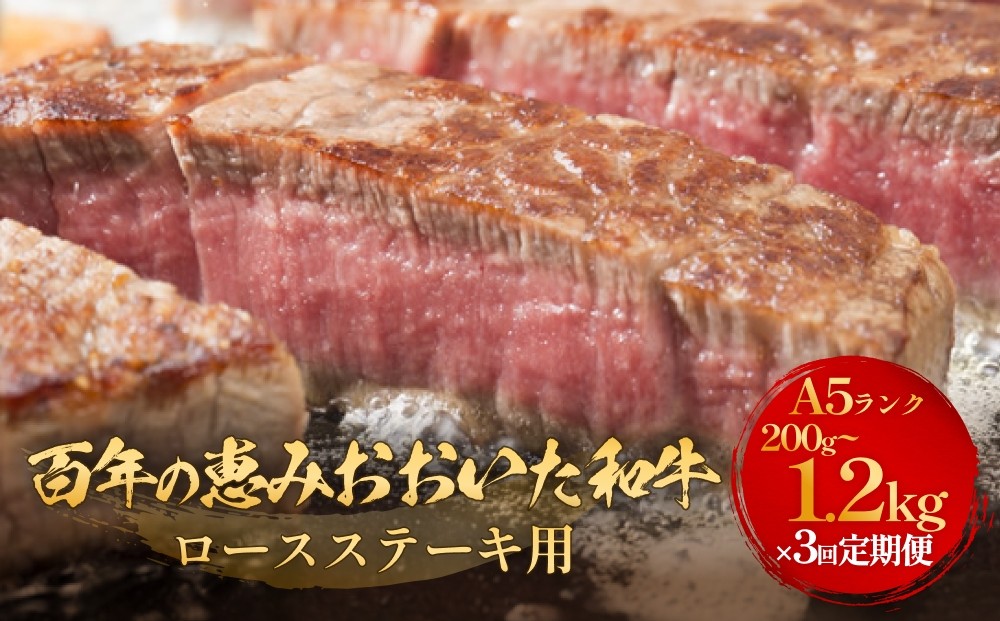 
            「百年の恵み おおいた和牛 」A5 ロースステーキ用 (200g×1枚- 4枚）or （300g×2枚- 4枚）×3ヶ月 定期便 おおいた和牛 ロースステーキ A5等級 黒毛和牛 大分県産 牛肉 高級肉 霜降り 和牛ステーキ 風味豊か 脂質 種雄牛 血統 高評価 冷凍
          