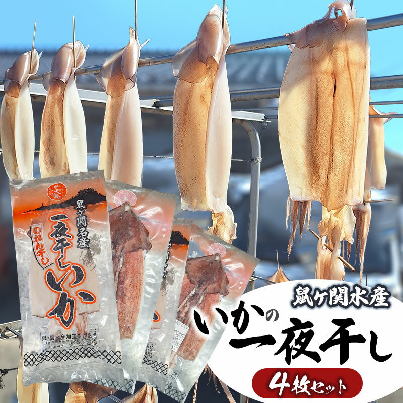 【ふるさと納税】鼠ヶ関名産　いかの一夜干し　4枚セット（合計約900g）【冷凍】