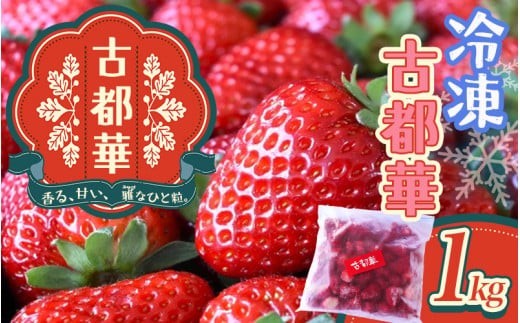 
                  古都華　冷凍いちご　1kg ／ 西田農園 ブランド いちご 苺 ことか フルーツ 果物 奈良県 葛城市【nsdf005】
                
