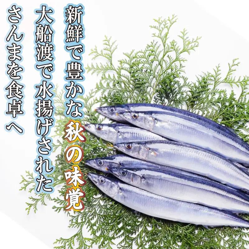 訳あり 生さんま 約2kg [発送 9月中旬～11月末] 冷蔵