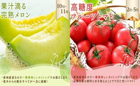 【全5回お届け】季節のフルーツ 定期便 | ﾌﾙｰﾂﾌﾙｰﾂﾌﾙｰﾂﾌﾙｰﾂ 定期便