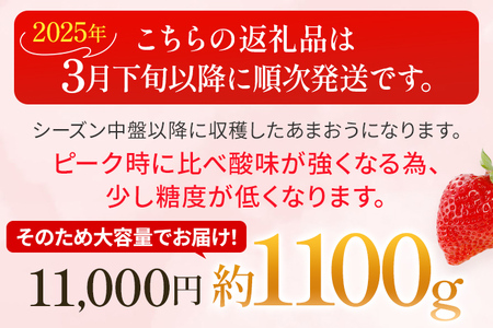 あまおう 約1100g（約275g×4パック） （先行受付／2025年3月下旬以降順次発送予定）いちご 苺 福岡高級 フルーツ お取り寄せ ご当地グルメ 福岡土産 取り寄せ グルメ 福岡県 食品 社会