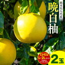 【ふるさと納税】【先行予約】【選べるサイズ】晩白柚 Lサイズまたは2Lサイズ 2玉 熊本県産 八代市産 柑橘 ばんぺいゆ 送料無料【2025年1月上旬より順次発送】